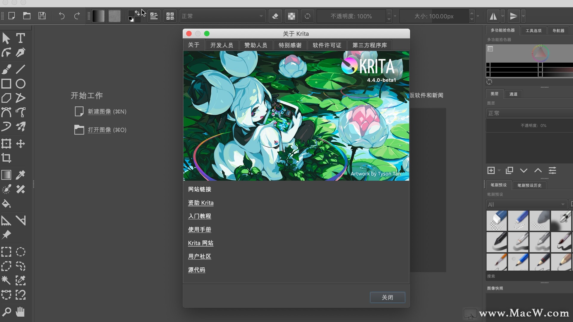 corel painter 11是什么软件-CorelPainter11：数字绘