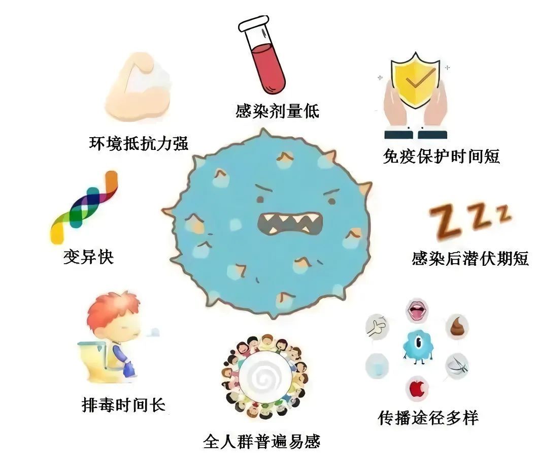 电子表格打不开是什么原因-电子表格打不开怎么办？软件更新、文