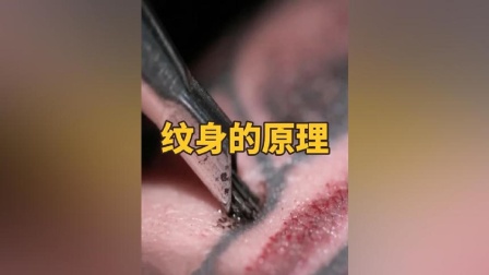 想把纹身弄掉怎么办_纹身样弄掉才能要孩子吗_纹身要怎么样才能弄掉