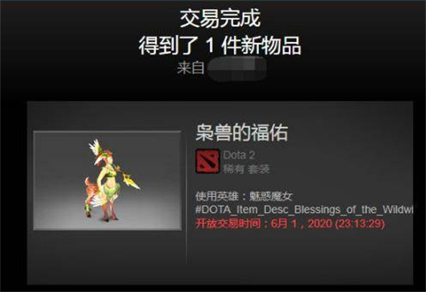 饰品取回是什么意思_csgo饰品交易平台没有取回的东西_饰品售出可以退换吗