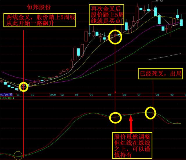 股市聊聊吧廖英强内部教程视频-廖英强内部教程视频真能让人一夜