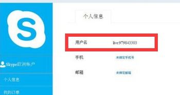 skype 用户名live,Skype用户名中的“live”含义及使用指南
